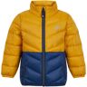 Color Kids - Übergangsjacke BLUE BEE in mango mojito, Gr.128