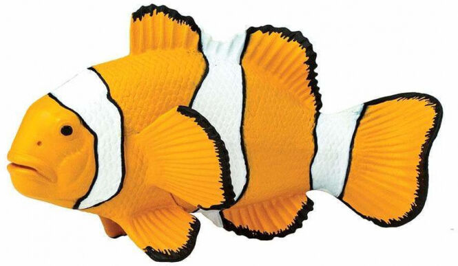 Safari meerestiere Dreibandanemonenfisch Junior 11,5 cm orange/weiß