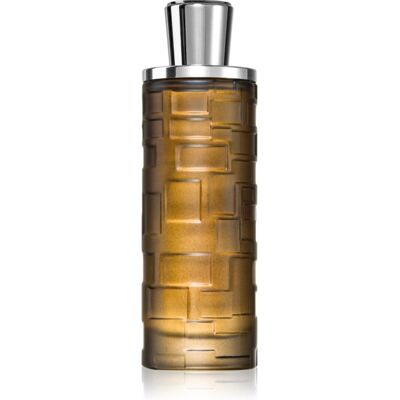 Al Haramain Mystique Homme EDP für Herren 100 ml Al Haramain Mystique Homme EDP für Herren 100 ml