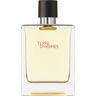 HERMÈS Terre d’Hermès EDT für Herren 100 ml