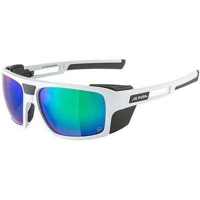 ALPINA Damen Bergbrille Skiwalsh hellgrau W ALPINA Damen Bergbrille Skiwalsh hellgrau W
