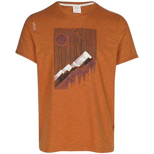 CHILLAZ Herren Klettershirt Sunny Mountains hellbraun XL M