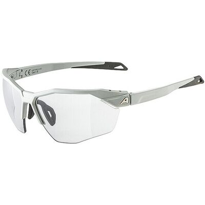 ALPINA Twist Six S HR Vario grau - Skibrille ALPINA Twist Six S HR Vario grau - Skibrille