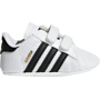 adidas originals superstar