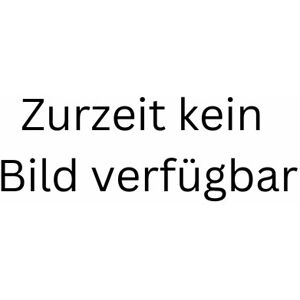 Dyson V8 Akku-Handstaubsauger silber/nickel