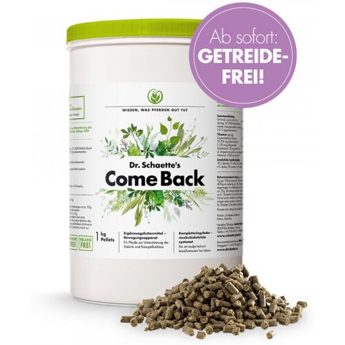 Dr. Schaette  Come Back