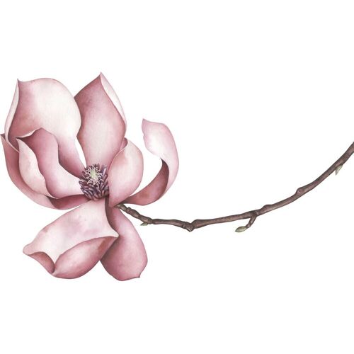 Wandtattoo QUEENCE "Sabrina" Wandtattoos Gr. B/H: 90 cm x 90 cm, Blume, rosa Wandtattoos Natur