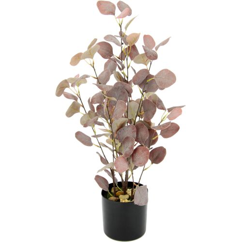I.Ge.A. Kunstpflanze I.GE.A. "Eukalyptus" Kunstpflanzen Gr. B/H: 27 cm x 60 cm, rot (burgund) Kunstpflanzen Im Topf, mit Natursteinchen