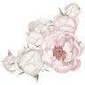 Wandtattoo QUEENCE "Leah" Wandtattoos Gr. B/H: 90 cm x 90 cm, Blume, rosa Wandtattoos Natur