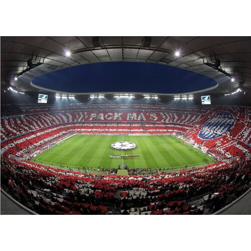 Wall-Art Fototapete Bayern München Stadion Choreo Pack Mas B/L: 4,8 m x 3,5 bunt Fototapeten Tapeten Bauen Renovieren