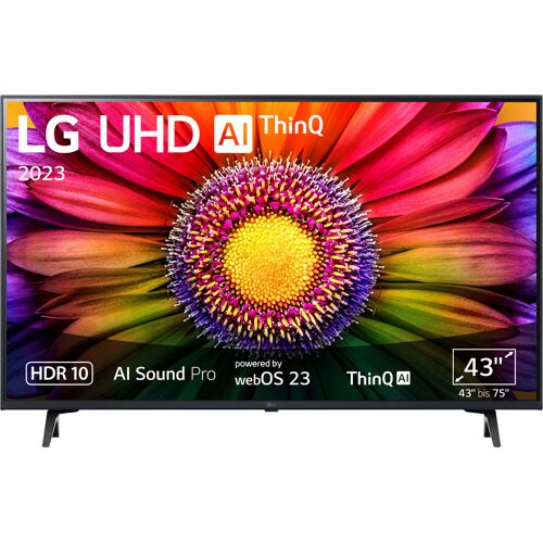 G (A bis G) LG LED-Fernseher "43UR80006LJ" Fernseher schwarz LED Fernseher