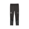 Sporthose PUMA "Borussia Dortmund Fußball-Trainingshose Herren" Gr. L, Normalgrößen, schwarz (black silver metallic) Herren Hosen Bundesliga-Fanshop