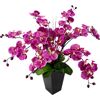 Kunstpflanze I.GE.A. Phalaenopsis im Topf Kunstpflanzen Gr. B/H: 50 cm x 66 cm, pink Künstliche Zimmerpflanzen