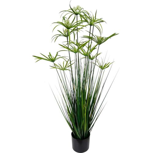 I.Ge.A. Kunstpflanze I.GE.A. "Zyperngras im Topf" Kunstpflanzen Gr. B/H: 35 cm x 120 cm, grün Künstliche Zimmerpflanzen