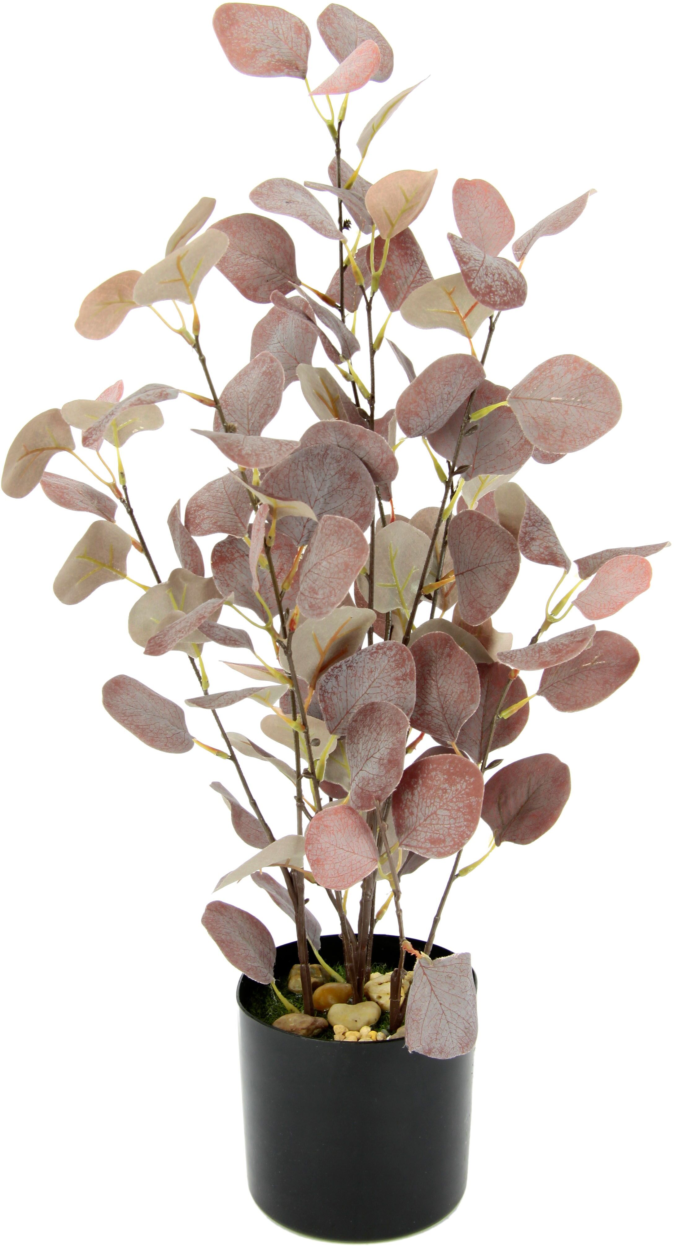 I.Ge.A. Kunstpflanze I.GE.A. "Eukalyptus" Kunstpflanzen Gr. B/H: 27 cm x 60 cm, rot (burgund) Künstliche Zimmerpflanzen Im Topf, mit Natursteinchen