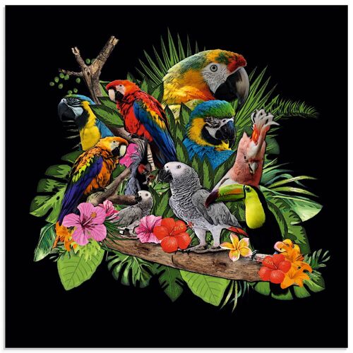 Glasbild ARTLAND "Papageien Graupapagei Kakadu Dschungel" Bilder Gr. B/H: 40 cm x 40 cm, Glasbild Vögel quadratisch, 1 St., bunt Glasbilder