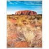 Poster WALL-ART "Ayers Rock Wüsten Urlaub Fotokunst" Bilder Gr. B/H/T: 100 cm x 120 cm x 0,1 cm, Australien, 1 St., bunt Poster