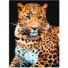 Wandbild ARTLAND "Wütender wilder Leopard" Bilder Gr. B/H: 60 cm x 80 cm, Alu-Dibond-Druck Wildtiere Hochformat, 1 St., schwarz Kunstdrucke