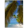 Leinwandbild ARTLAND "Palmenstrand, Insel Isla Saona" Bilder Gr. B/H: 60 cm x 90 cm, Karibikbilder Hochformat, 1 St., blau Leinwandbilder auf Keilrahmen gespannt