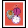 Bild QUEENCE "Franziska" Bilder Gr. B/H: 50 cm x 70 cm, Wandbild Obst Hochformat, bunt (coral, pink, orange) Kunstdrucke