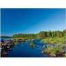 Alu-Dibond-Druck ARTLAND "Am Fluss in Finnland" Bilder Gr. B/H: 60 cm x 45 cm, Gewässer, 1 St., blau Metallbilder