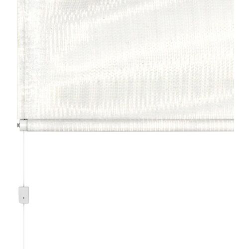 hecht international Insektenschutzrollo "für Dachfenster, BASIC", transparent, weiß/weiß, BxH: 110x160 cm 160 cm, 110 weiß Insektenschutz-Rollo Rollos Jalousien