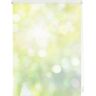 Seitenzugrollo LICHTBLICK ORIGINAL "Klemmfix Motiv Lichtspiel" Rollos Gr. 150 cm, 100 cm, grün (grün, gelb, weiß) Rollos ohne Bohren bedruckt