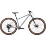 Mountainbike WHYTE BIKES "529" Fahrräder Gr. 48 cm, 29 Zoll (73,66 cm), grau Hardtail