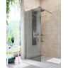 Duschwand WELLTIME "Duschabtrennung" Duschwände Gr. B/H: 80 cm x 190 cm, ohne Antikalk-Versiegelung, grau (chromfarben) Duschen