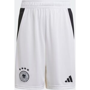 Trainingsshorts ADIDAS PERFORMANCE 