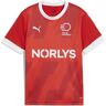 Trainingsshirt PUMA "Dänemark Handball Heimtrikot Jugendliche" Gr. 140, rot (red white) Kinder Shirts T-Shirts