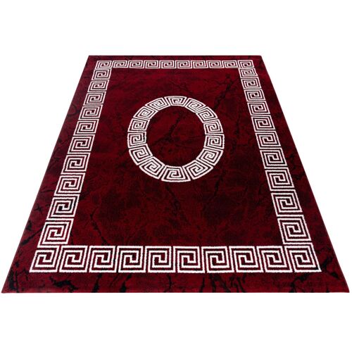 Ayyildiz Teppiche Teppich AYYILDIZ TEPPICHE "PLUS 8009" Teppiche Gr. B/L: 200 cm x 290 cm, 6 mm, 1 St., rot (red) Wohnzimmerteppiche