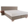 Boxspringbett ADA TRENDLINE "Daria" Komplettbetten Gr. Chenille GCP, Liegefläche B/L: 180 cm x 200 cm, Gewicht bis: 80 kg + 80 kg H2 + H2, 7-Zonen-Tonnentaschen-Federkern-Partnermatratze, braun (hellbraun gcp 42) Boxspringbett Boxspringbetten ohne Bettkas