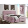 Boxspringbett HOME AFFAIRE "Manchester" Komplettbetten Gr. Struktur, Liegefläche B/L: 140 cm x 200 cm Betthöhe: 54 cm, Gewicht bis: 100 kg H3, 7-Zonen-Kaltschaummatratze, rosa (rosé) Boxspringbett Boxspringbetten ohne Bettkasten