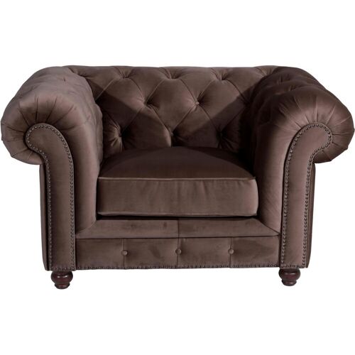 Max Winzer Chesterfield-Sessel MAX WINZER „Old England“ Sessel Gr. Samtvelours 20442, B/H/T: 131 cm x 76 cm x 96 cm, braun Chesterfield Sessel mit edler Knopfheftung