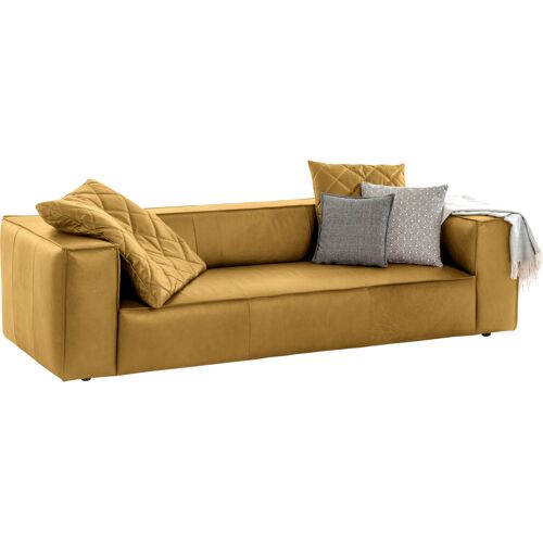 W.Schillig 3-Sitzer W.SCHILLIG „around-the-block“ Sofas Gr. B/H/T: 260 cm x 66 cm x 104 cm, Longlife Xtra-Leder Z69, gelb (kurkuma z69) 3-Sitzer Sofas mit eleganter Biese, Federkern