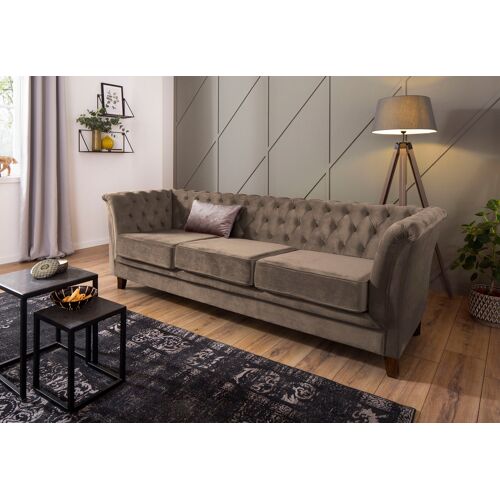 Home Affaire Chesterfield-Sofa HOME AFFAIRE „Dover“ Sofas Gr. B/H/T: 237 cm x 75 cm x 82 cm, Samtoptik, grau (taupe) Chesterfieldsofas aufwändige Knopfheftung in Chesterfield-Optik