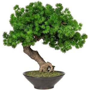 Kunstbonsai HOME AFFAIRE 