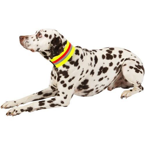 HEIM Hunde-Halsband "Signalhalsband", Textil 39 cm - 40 gelb Hundehalsbänder Hund Tierbedarf