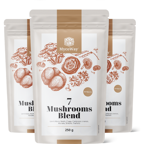 MycoWay® 3x Mischung aus sieben Pilzextrakten in Pulverform, zusammen 750 g