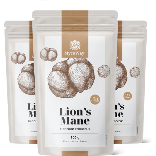 MycoWay® 3x Igelstachelbart (Löwenmähne) – Extrakt 12:1, zusammen 300 g