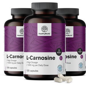 Healthy World L-Carnosin 1000mg - 360 Kapseln Healthy World L-Carnosin 1000mg - 360 Kapseln