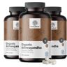 HealthyWorld® 3x BIO Ashwagandha 500 mg, zusammen 720 Kapseln