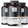 HealthyWorld® 3x Shilajit Mumie Extract 10:1, zusammen 360 Kapseln