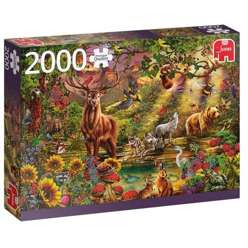 Jumbo puzzle Magic Forest At Sunset 2000 Teile