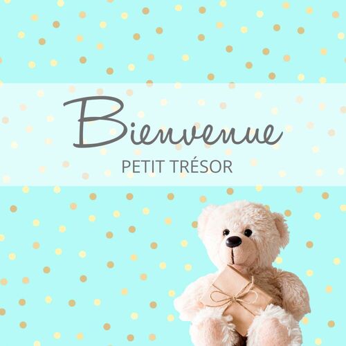 Baby-Walz Geschenkgutschein Willkommen kleiner Schatz mehrfarbig