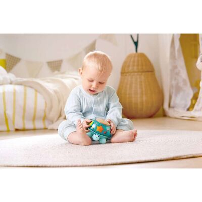 Hape Musik-Schildkröte blau Hape Musik-Schildkröte blau