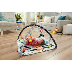 Fisher Price mit Spieldecke Tierfreunde mehrfarbig