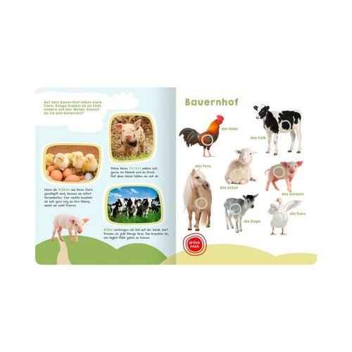 Arsedition Soundbilderbuch Mein großes Buch der Tiergeräusche mehrfarbig
