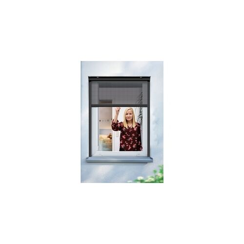 Schellenberg Insektenschutzrollo für Fenster, 100 x 160 cm, anthrazit
